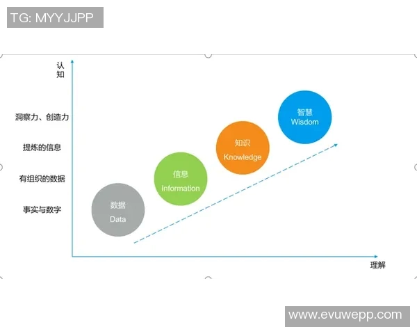 探索Elk零换五收尾的创新应用与实践价值分析
