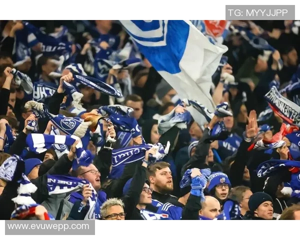 沙尔克04德甲困境：连续失利引发球迷担忧